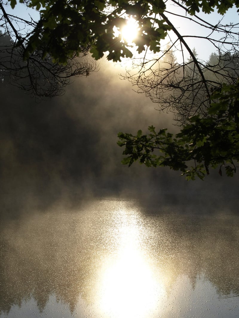 Magical Ponds