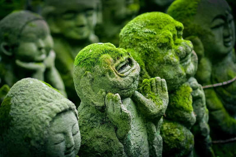 Zen Garden Hideout